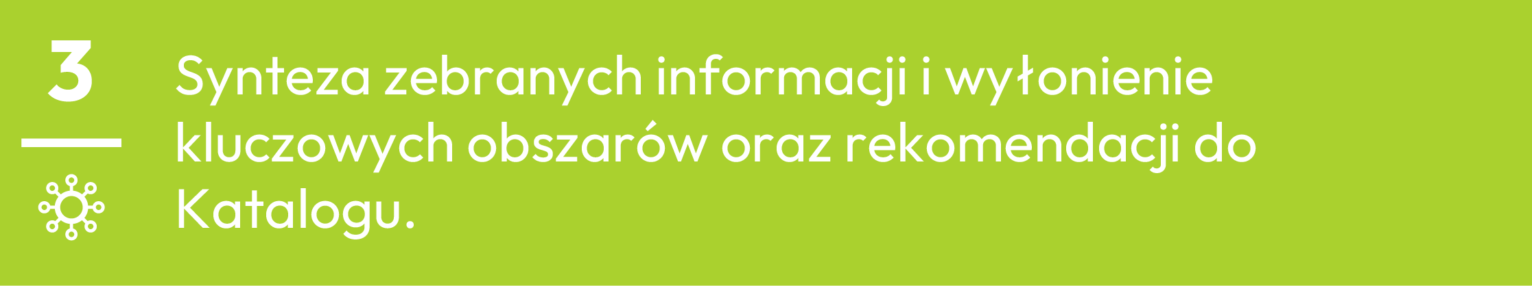 3.	Synteza zebranych informacji i wyłonienie kluczowych obszarów oraz rekomendacji do Katalogu.